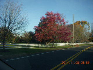 drive to Holmdel, Dutch Lane Road where I used to run