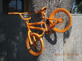 orange bike chained to a tree