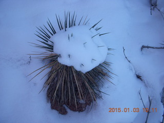 Fisher Towers hike - snow cactus ball