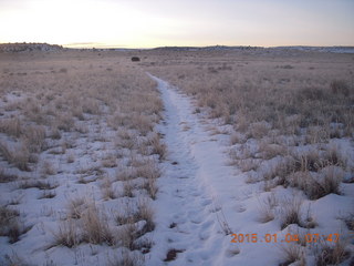 14 8v4. Canyonlands National Park - Lathrop trail hike - grasslands