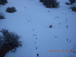 18 8v5. Dead Horse Point State Park hike - rabbit tracks