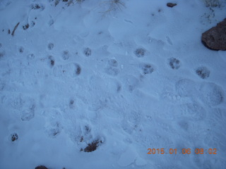 40 8v6. Porcupine Rim mountain-biking trail hike - footprints, shoeprints, and tire tracks