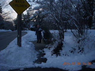 snowy trees in Melrose Park, Pennsylvania - Betsy