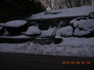 snow topiary