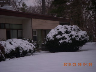 snow topiary