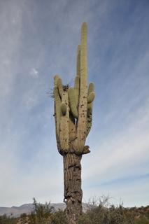 Philadelphia Orchestra with pianist twins