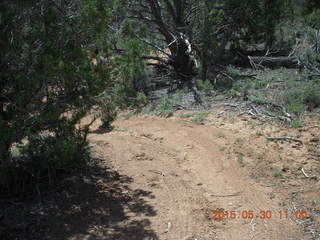 125 8zw. drive to Calamity Mine - very tough side road