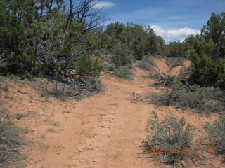 127 8zw. drive to Calamity Mine - very tough side road