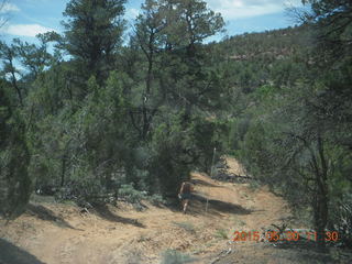 163 8zw. drive to Calamity Mine - very tough side road