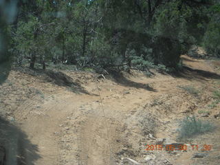 164 8zw. drive to Calamity Mine - very tough side road