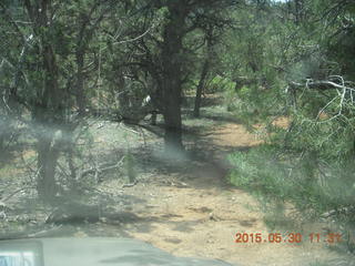 170 8zw. drive to Calamity Mine - very tough side road