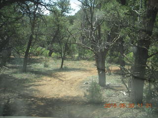171 8zw. drive to Calamity Mine - very tough side road