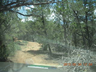 203 8zw. drive to Calamity Mine - very tough side road