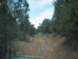 208 8zw. drive to Calamity Mine - very tough side road