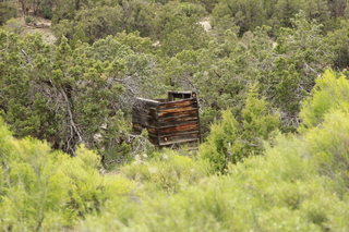 Calamity Mine camp site