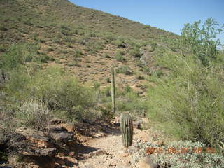 Gateway Loop hikers