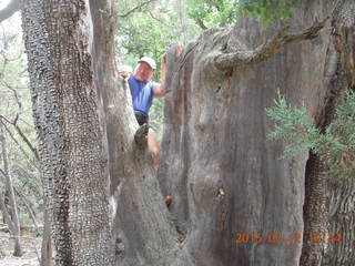 2786 91c. Debbie's and Ted's cabin - hike - Adam in tree