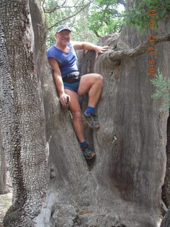 2788 91c. Debbie's and Ted's cabin - hike - Adam in tree