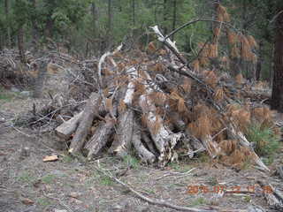 Debbie's and Ted's cabin - hike  wood pile