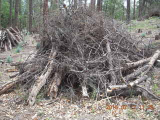 Debbie's and Ted's cabin - wood pile