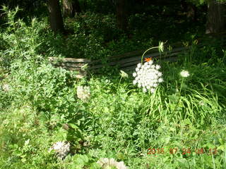 Welch, Minnesota, run