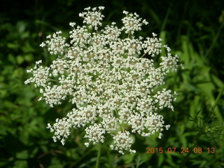 Afton, Minnesota, run - cool plant