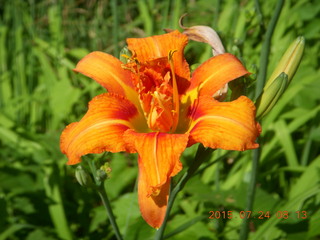 Welch, Minnesota, run