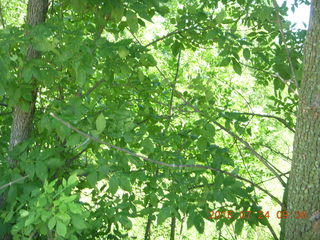 Afton, Minnesota, run