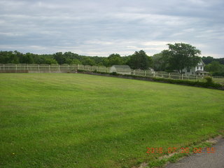Afton, Minnesota, run - trees