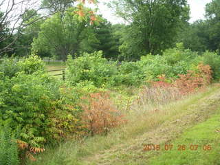 Afton, Minnesota run