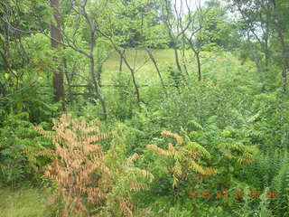 Afton, Minnesota, run