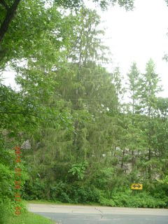 Afton, Minnesota