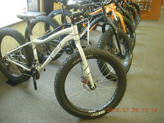 bikes in bike store