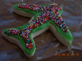 Mystic Bluffs (NM26), New Mexico, airplane cookie