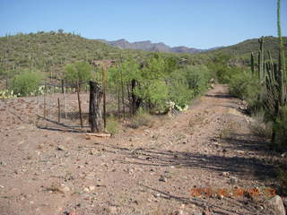 Red Creek airstrip - N8377W