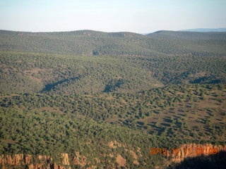 aerial - Buzzard Roost