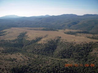 aerial - Buzzard Roost