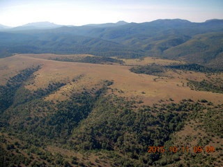 aerial - Buzzard Roost