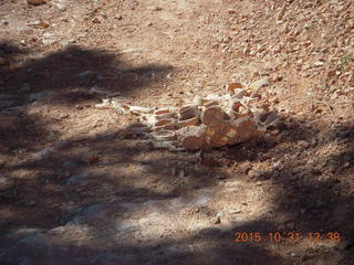 17 94x. Bryce Canyon - Peek-a-Boo loop - funky round things