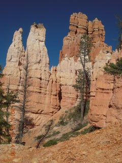 Bryce Canyon - Peek-a-Boo loop - funky round things