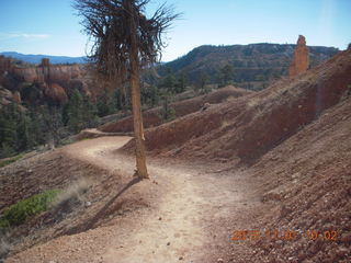 19 951. Bryce Canyon - my chosen hoodoo path