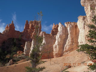 28 951. Bryce Canyon - my chosen hoodoo view