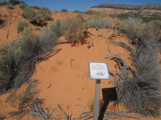 53 951. Coral Pink Sand Dunes State Park sign
