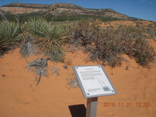 55 951. Coral Pink Sand Dunes State Park sign