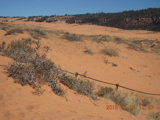 56 951. Coral Pink Sand Dunes State Park