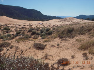 58 951. Coral Pink Sand Dunes State Park