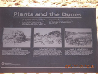 62 951. Coral Pink Sand Dunes State Park sign