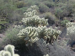 Coral Pink Sand Dunes State Park sign