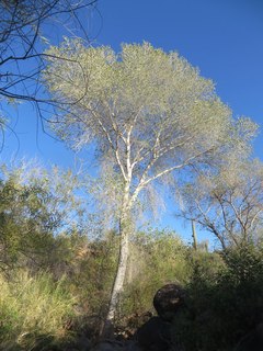 Coral Pink Sand Dunes State Park
