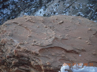 17 972. Zion National Park - Observation Point hike - nodules on rock